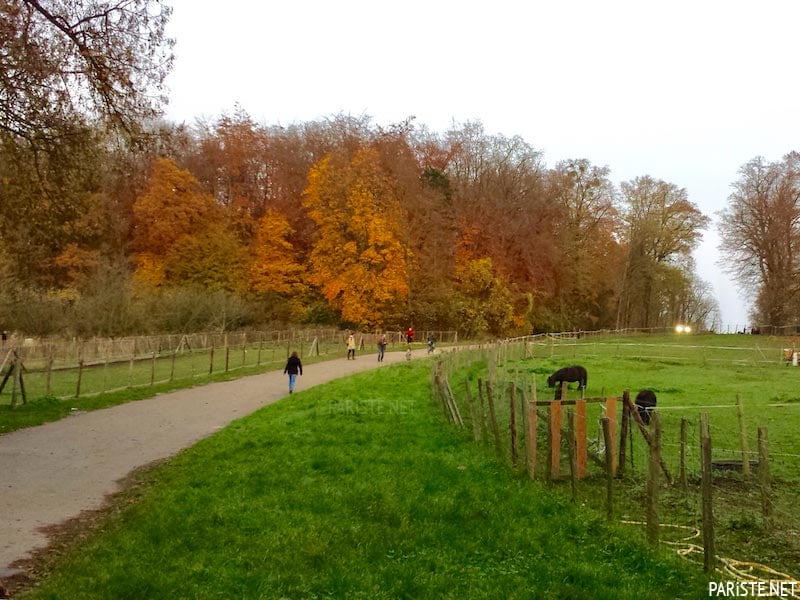 Saint Cloud Parkı - Parc de Saint Cloud Pariste.Net Saint Cloud Parkı - Parc de Saint Cloud Pariste.Net