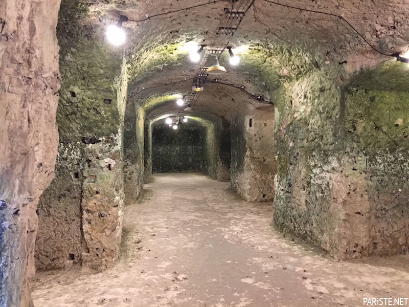 La Roche Guyon Şatosu - Chateau de la Roche-Guyon Pariste.Net